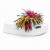 Branco/Sunshine  + 36.00€ 