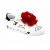 Vermelho  + 14.90€ 