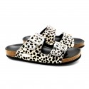 Iris Cheeta