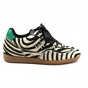 Serena Zebra