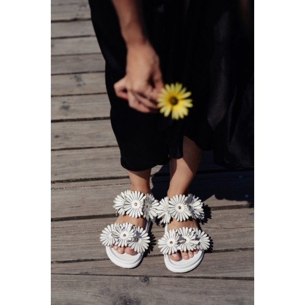 Daisy rasa White Gold