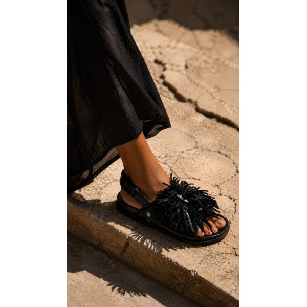 Eveline rasa Black Magestic