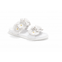 Daisy White Gold