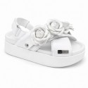 Eveline White Camélias White