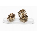 Daisy rasa Gold