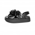 Eveline Black Camelia