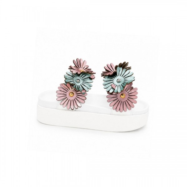 Daisy  Pastel
