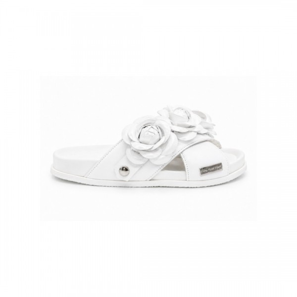 Eva rasa White Camelias